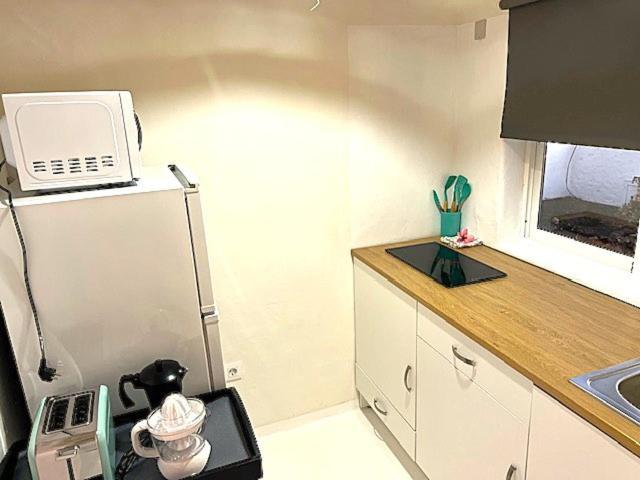 Loft Cactus